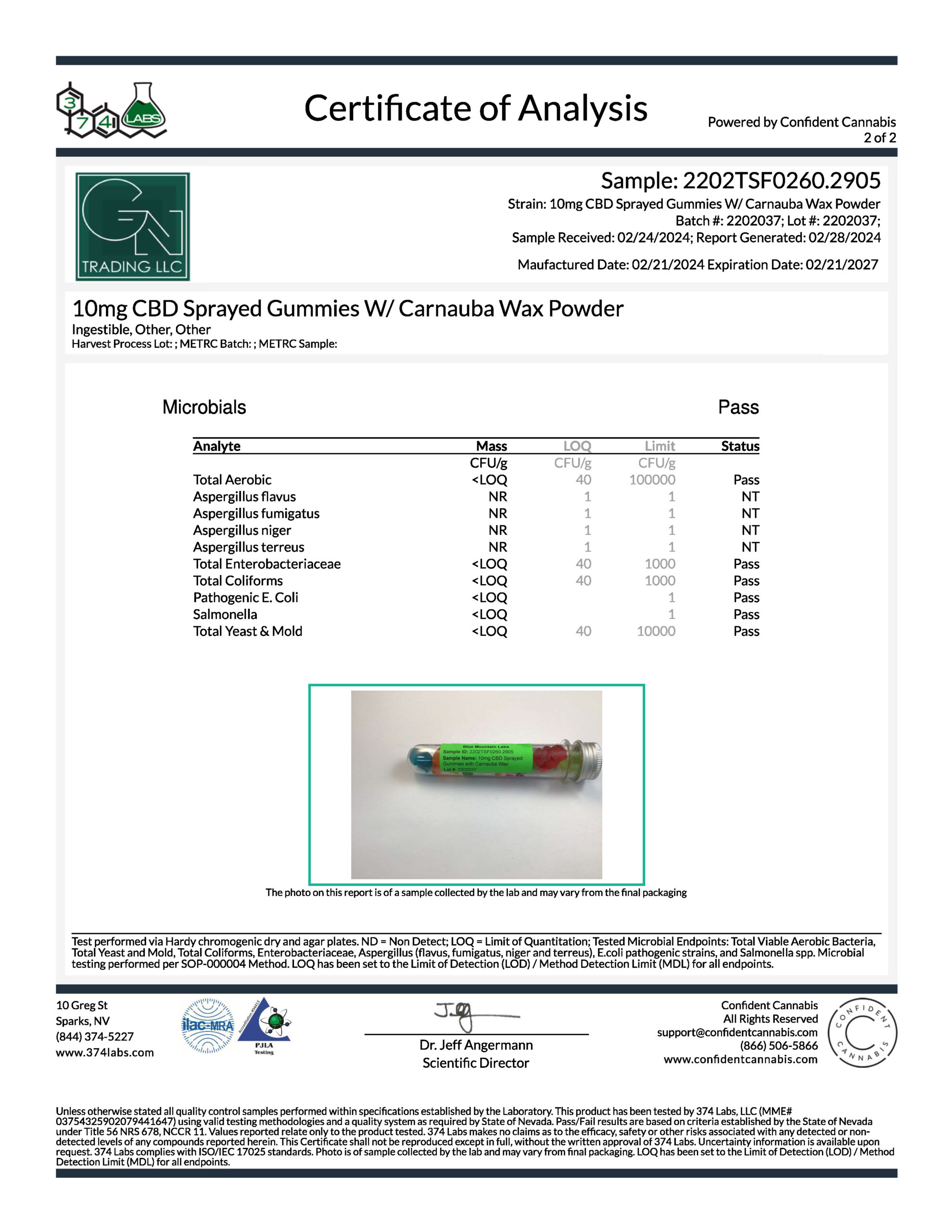 CBD 10MG Gummies - Image 3